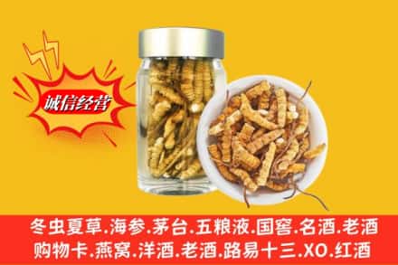 渭南市潼关回收散虫草