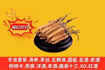 渭南市潼关名酒回收冬虫夏草.jpg